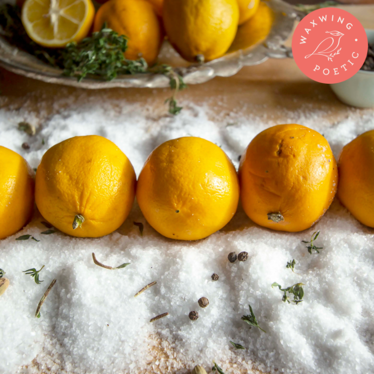 Citrus + Sea Salt | Premium Reed Diffuser