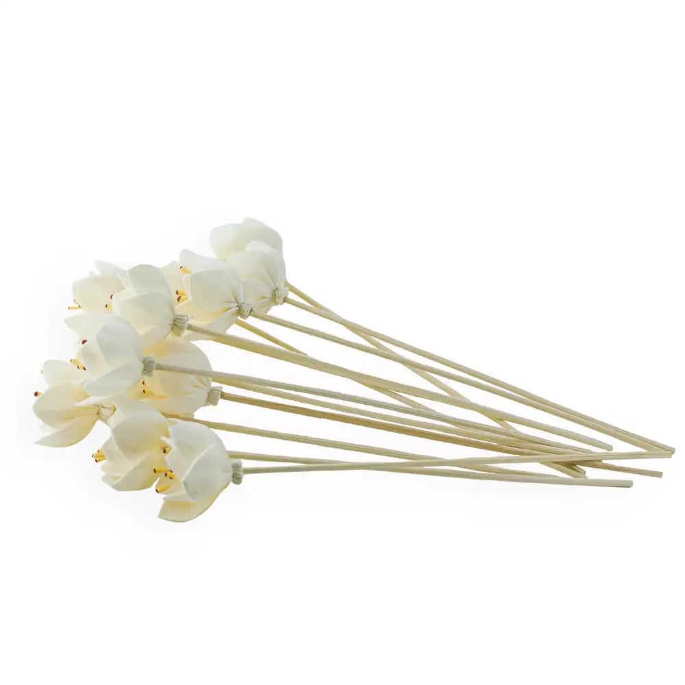 Purchase Additional Diffuser Reeds