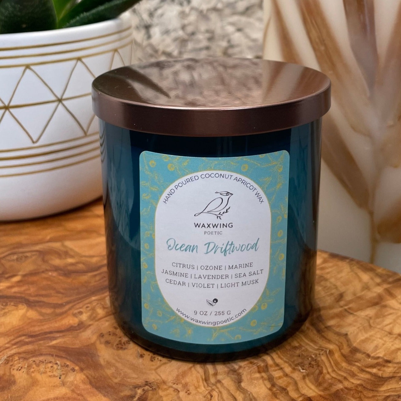 Ocean Driftwood | Coconut Apricot Wax Candle