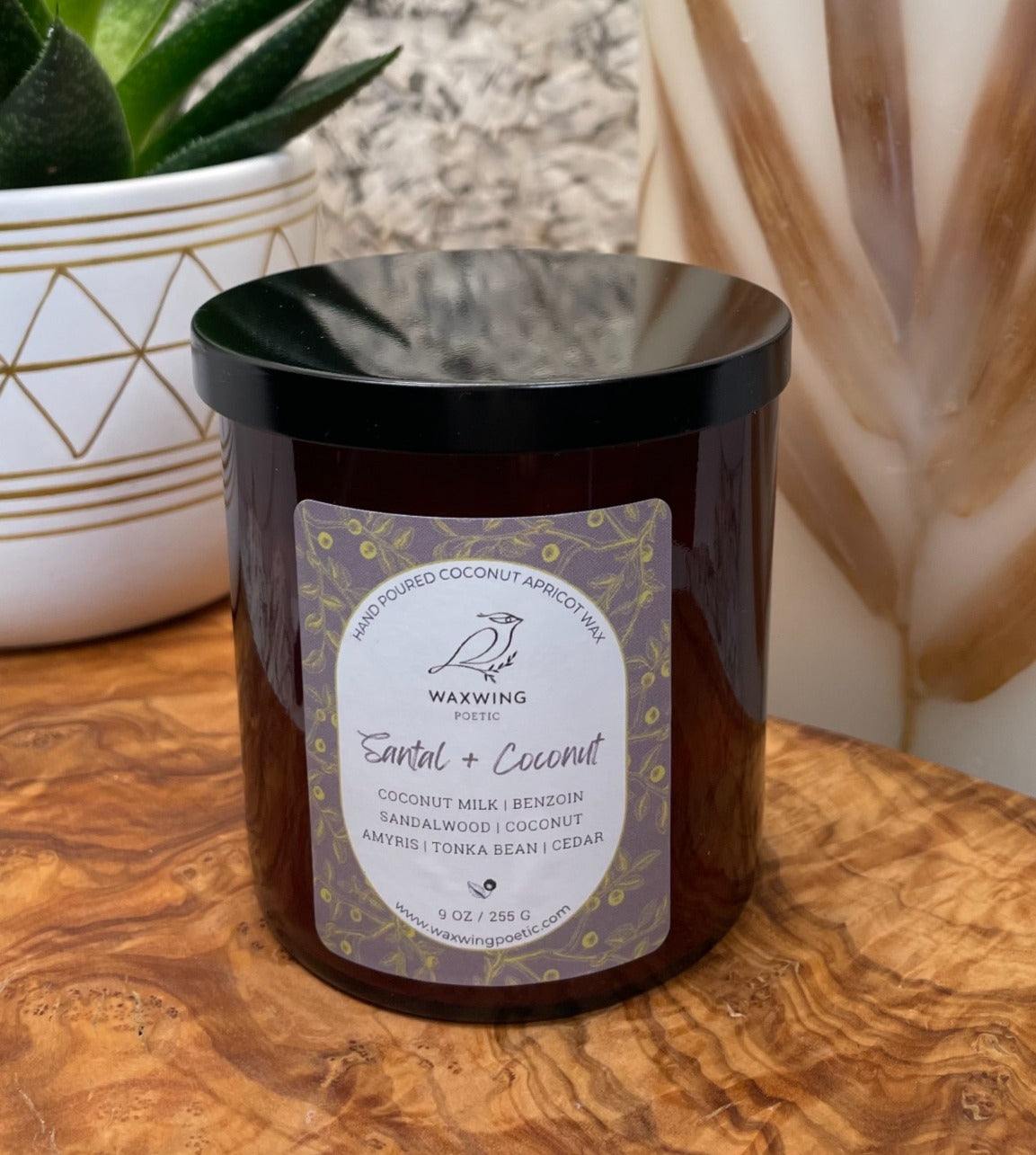 Santal + Coconut | Coconut Apricot Wax Candle