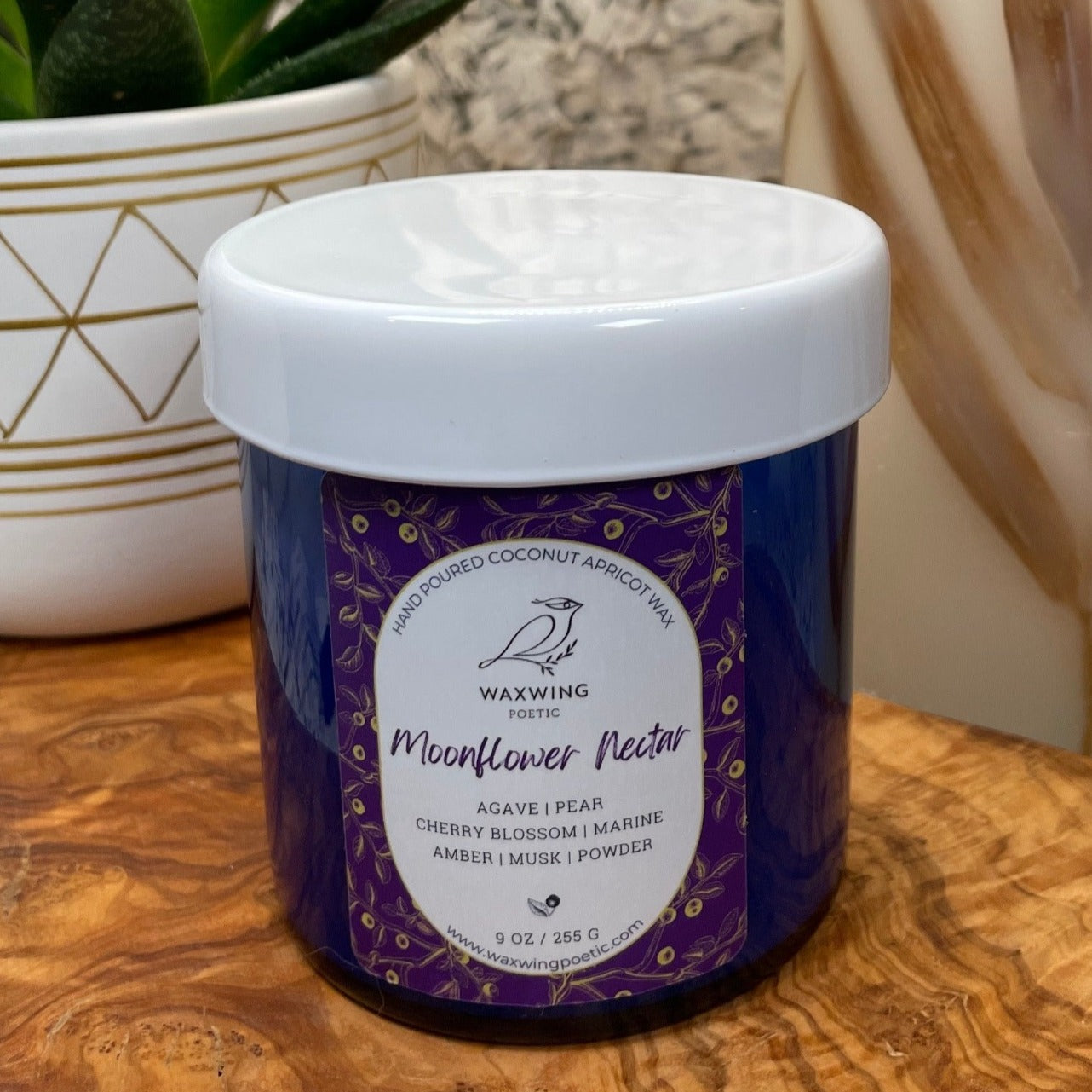 Moonflower Nectar | Coconut Apricot Wax Candle
