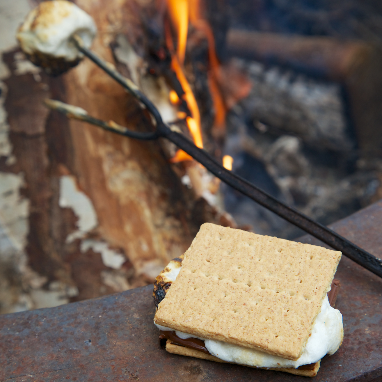 Campfire Marshmallow | Premium Reed Diffuser