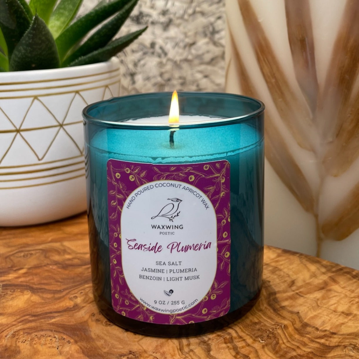 Seaside Plumeria | Coconut Apricot Wax Candle