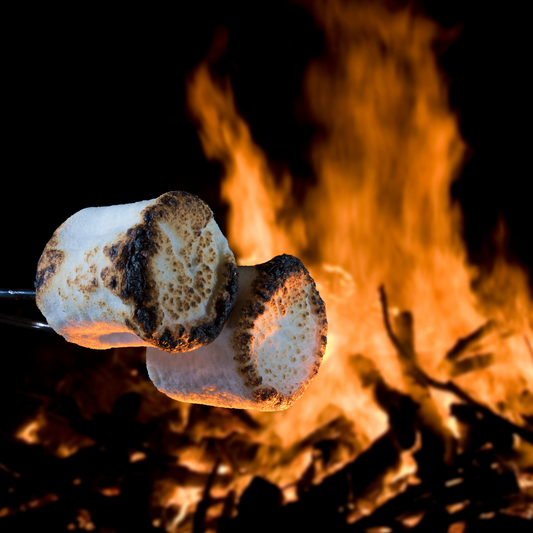 Campfire Marshmallow | Coconut Wax Melt