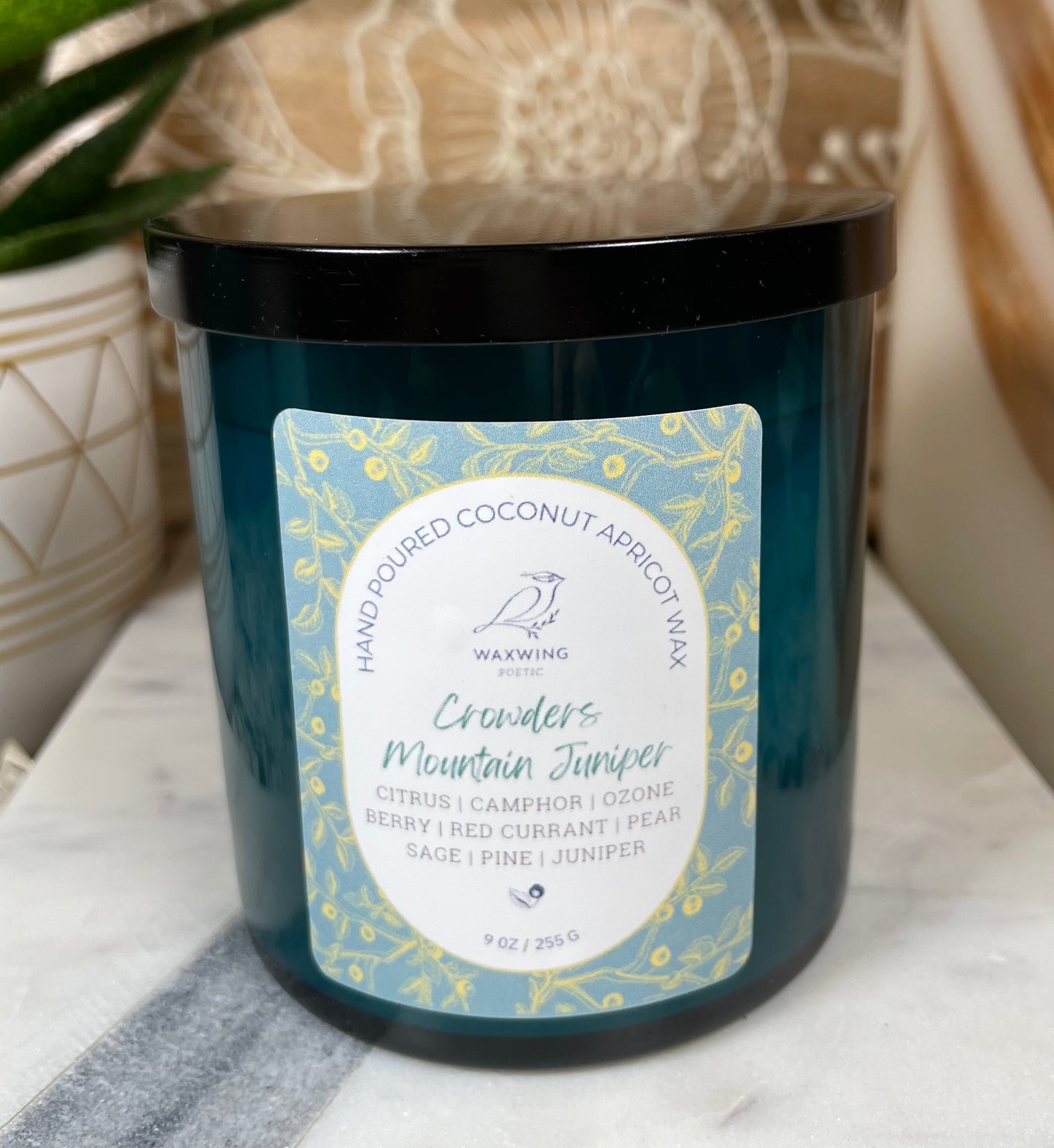 Crowders Mountain Juniper | Coconut Apricot Wax Candle