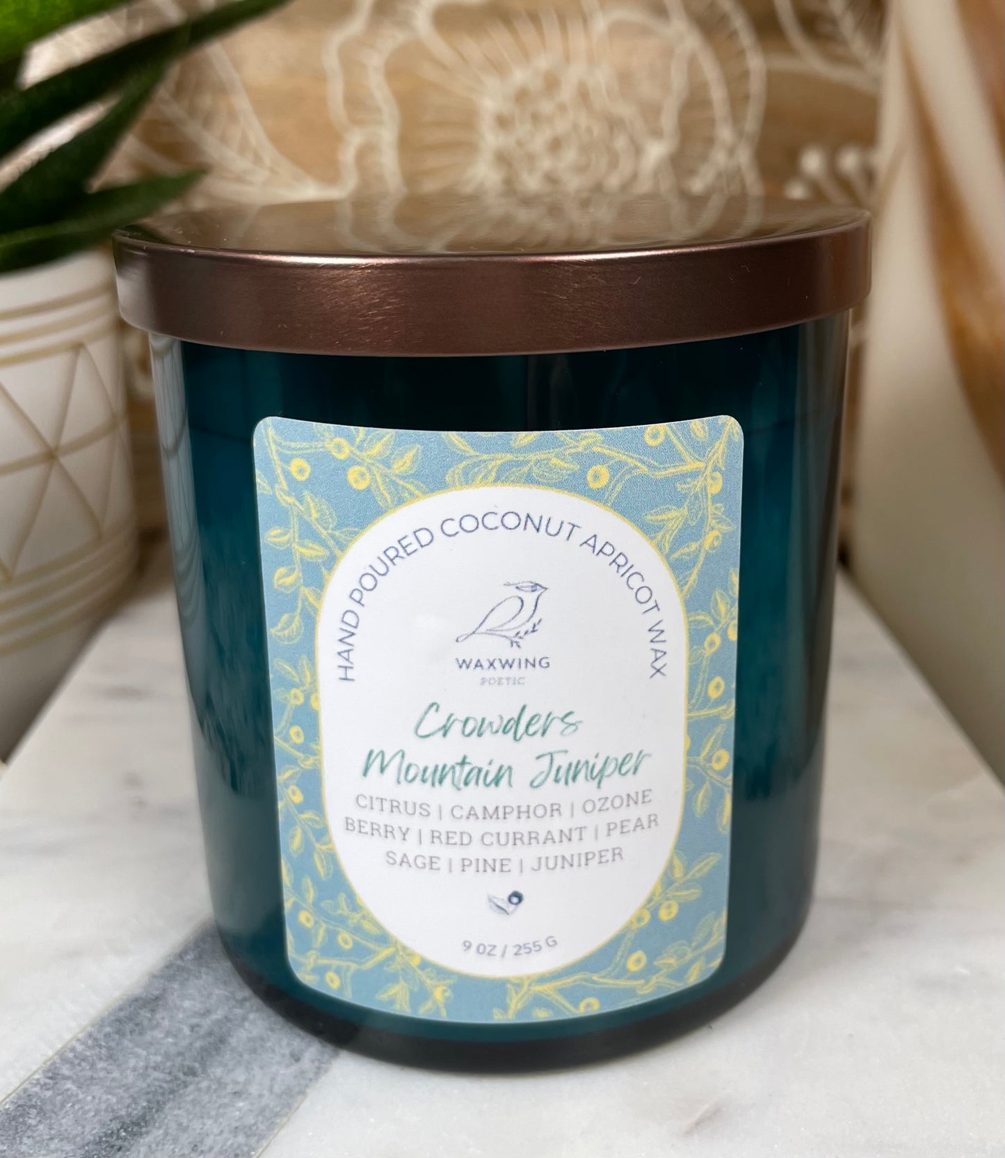 Crowders Mountain Juniper | Coconut Apricot Wax Candle