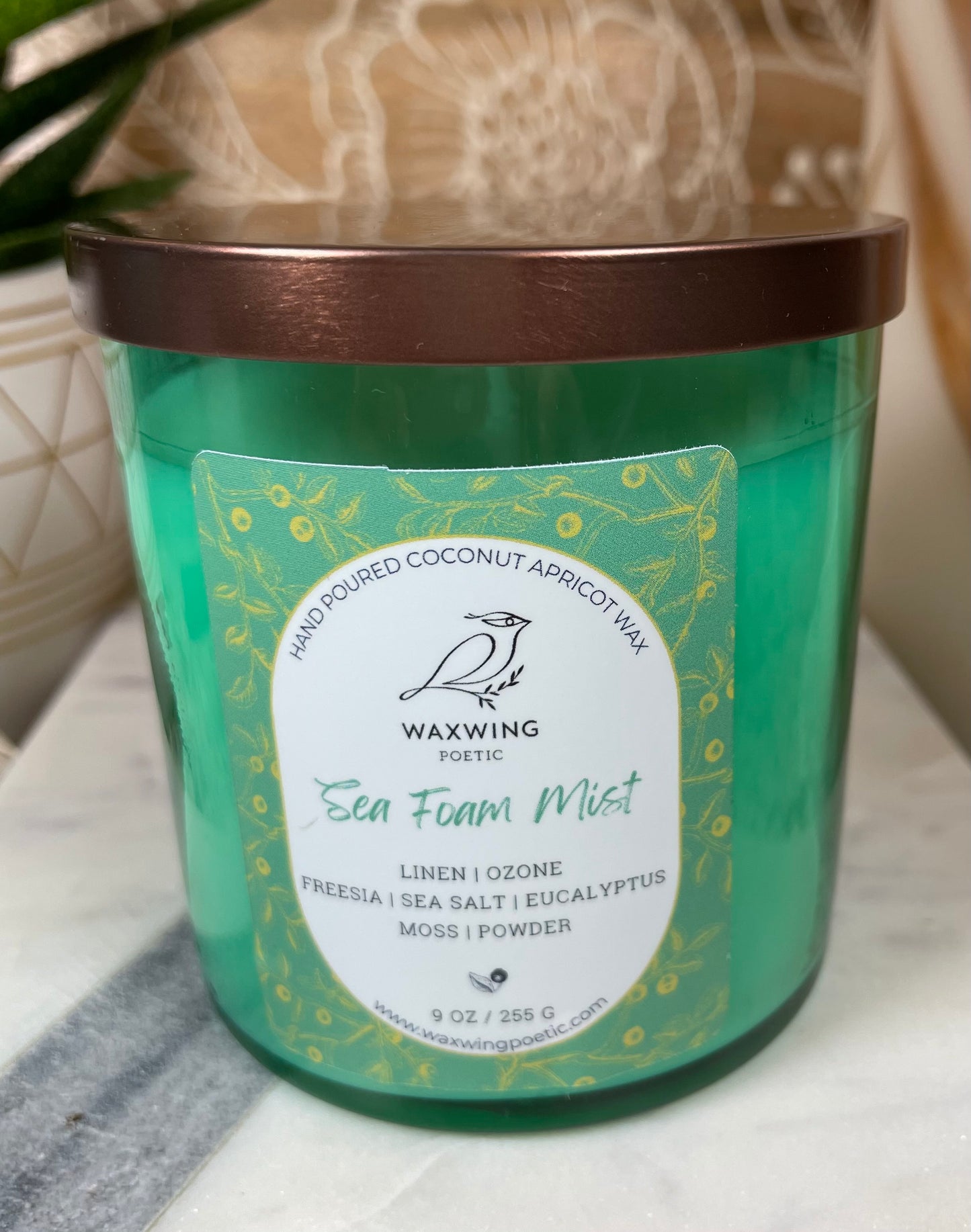 Sea Foam Mist | Coconut Apricot Wax Candle