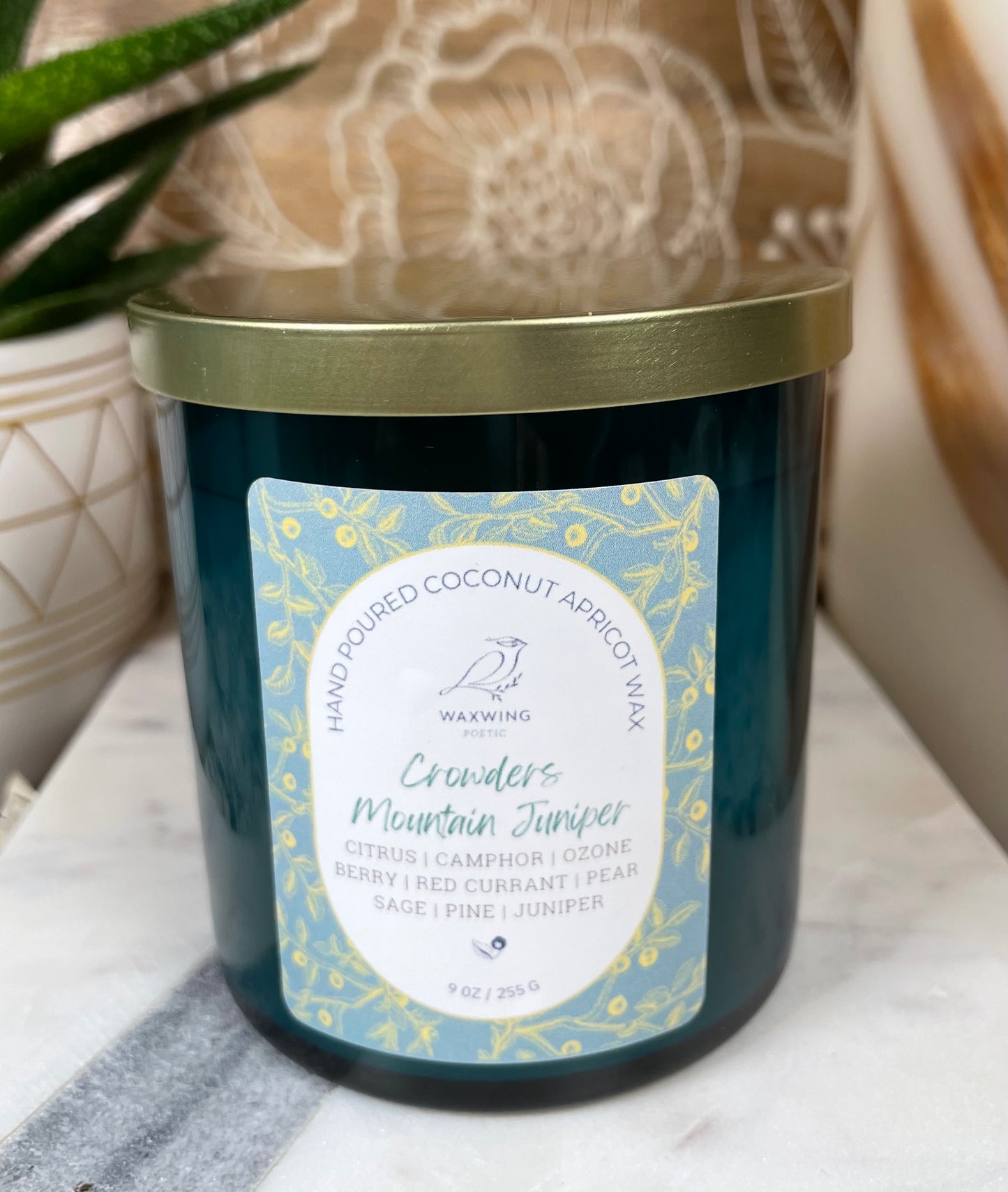 Crowders Mountain Juniper | Coconut Apricot Wax Candle
