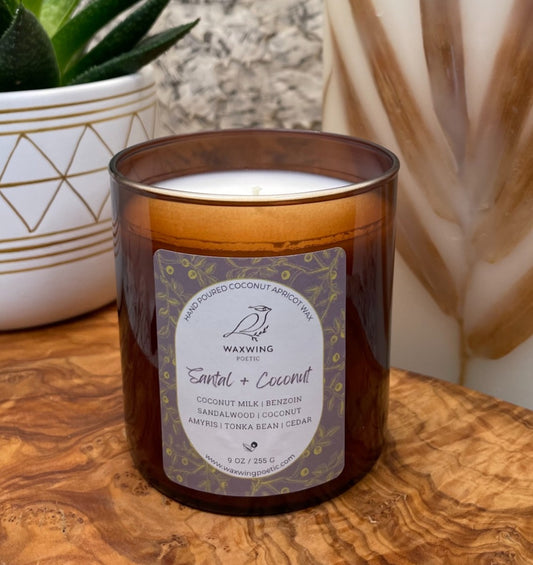 Santal + Coconut | Coconut Apricot Wax Candle