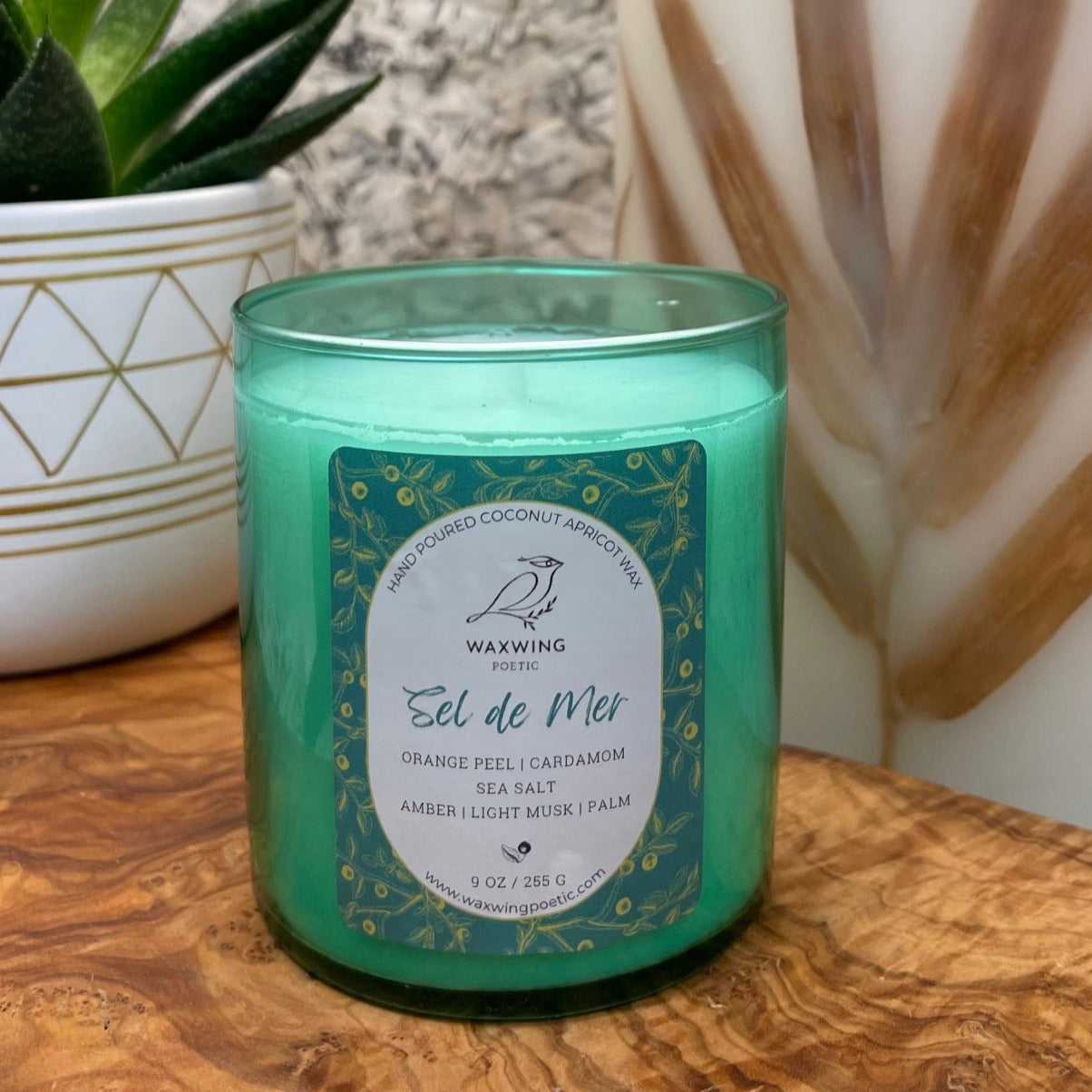 Sel de Mer | Coconut Apricot Wax Candle