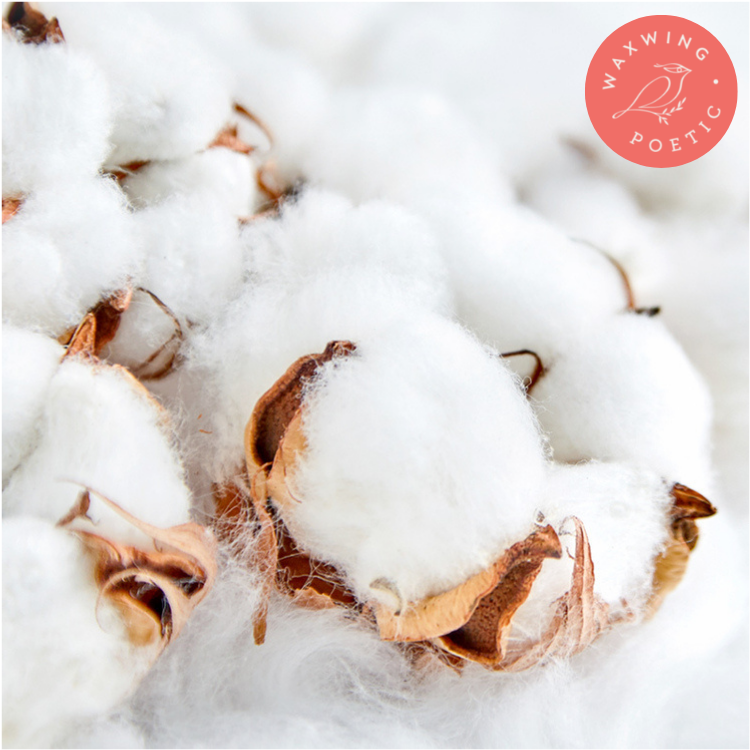 Clean Cotton | Premium Reed Diffuser