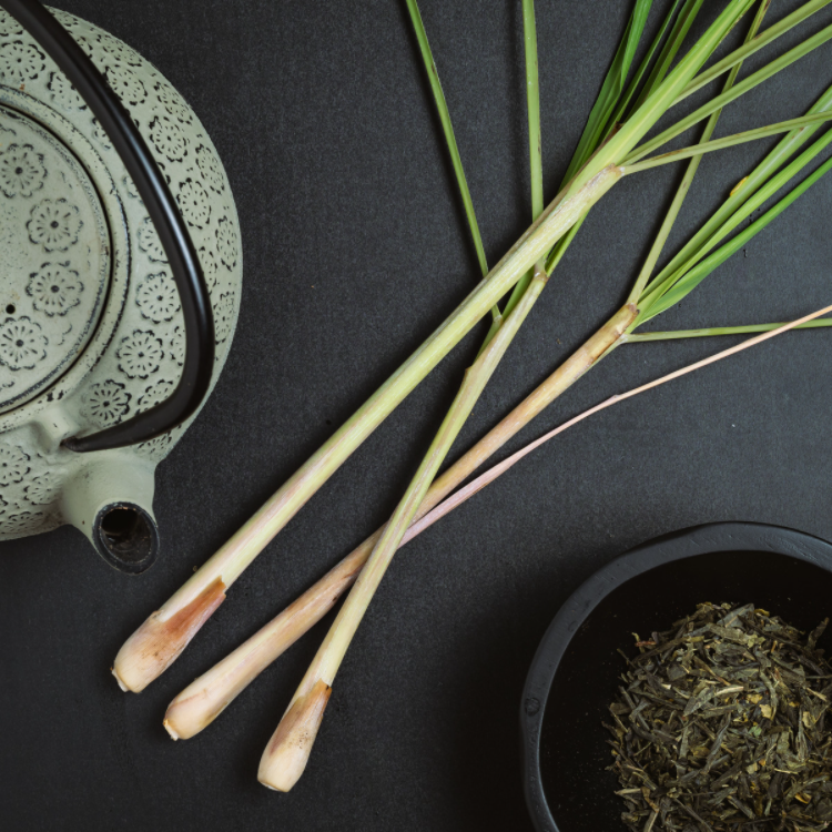 Green Tea + Lemongrass | Coconut Apricot Wax Candle