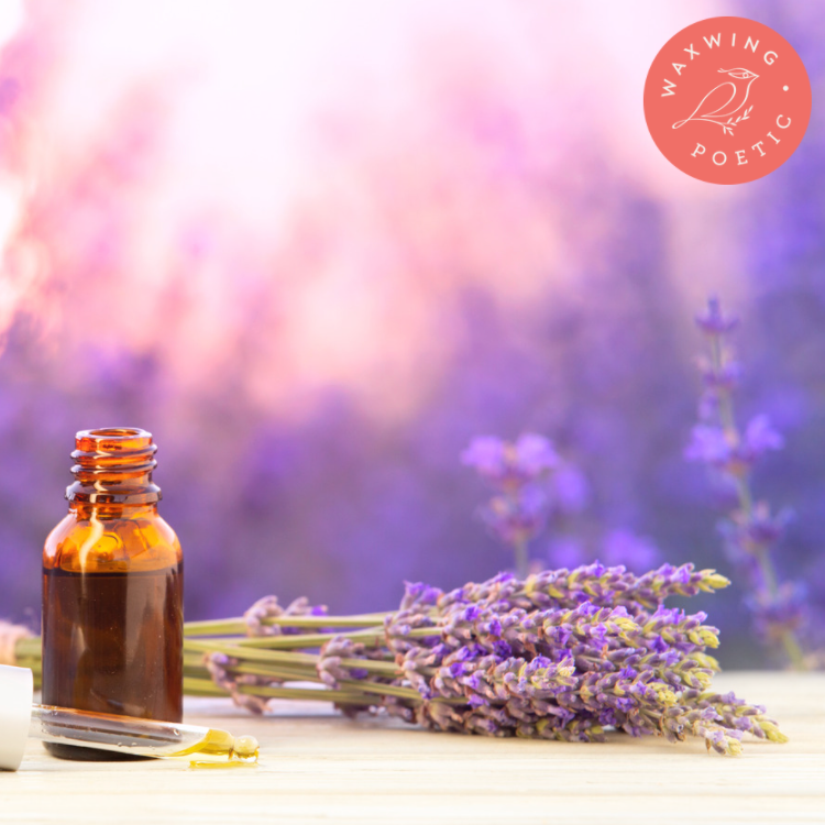 Lavender Fields | Premium Reed Diffuser