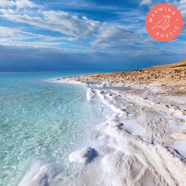 Sea Foam Mist | Premium Reed Diffuser
