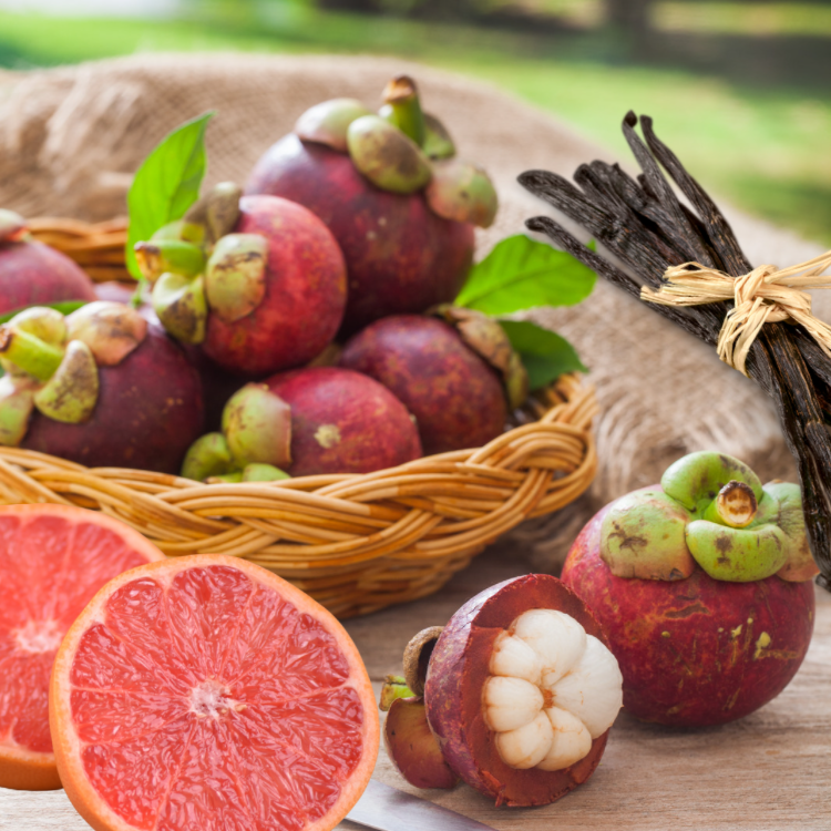 Vanilla Mangosteen | Premium Reed Diffuser