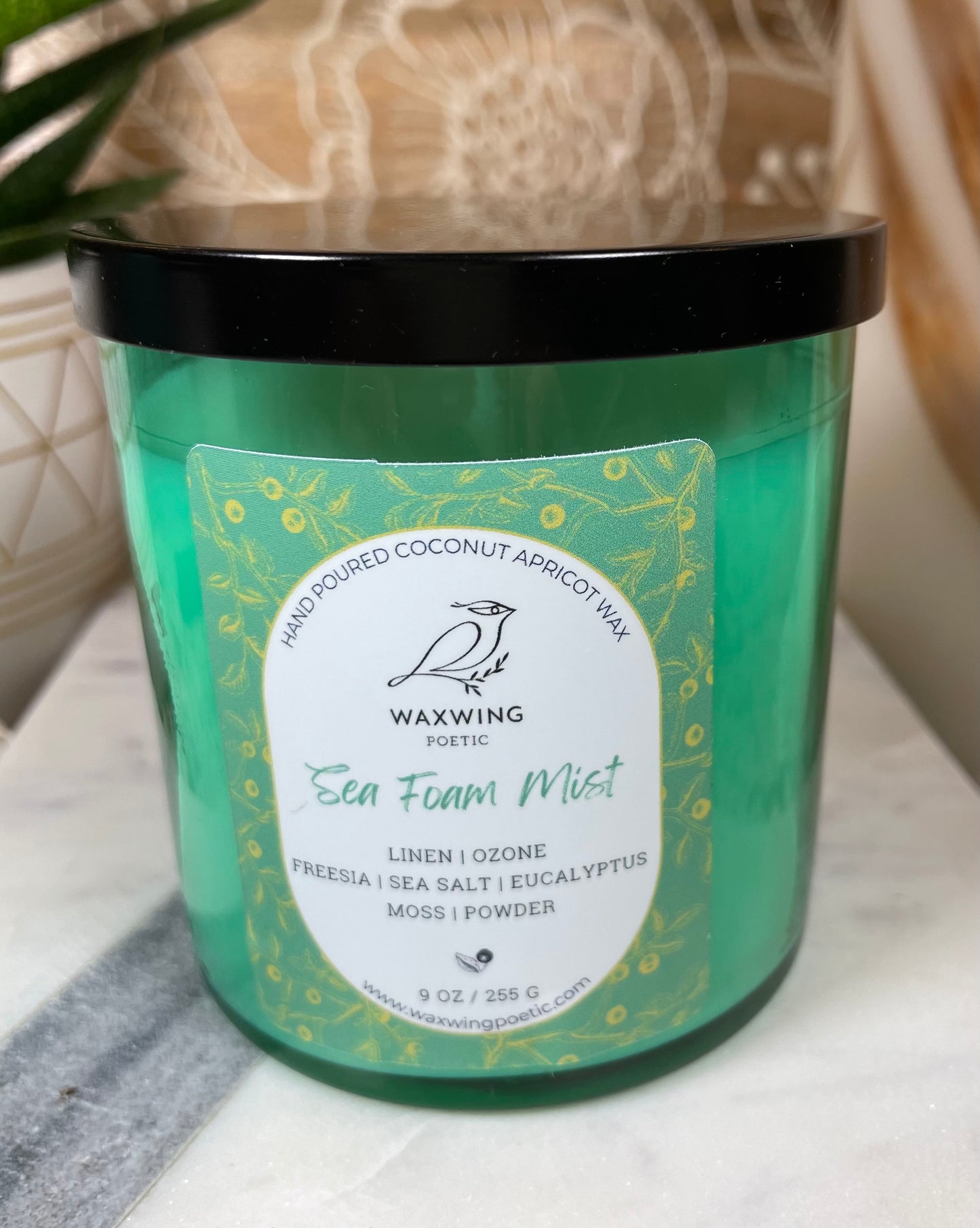 Sea Foam Mist | Coconut Apricot Wax Candle
