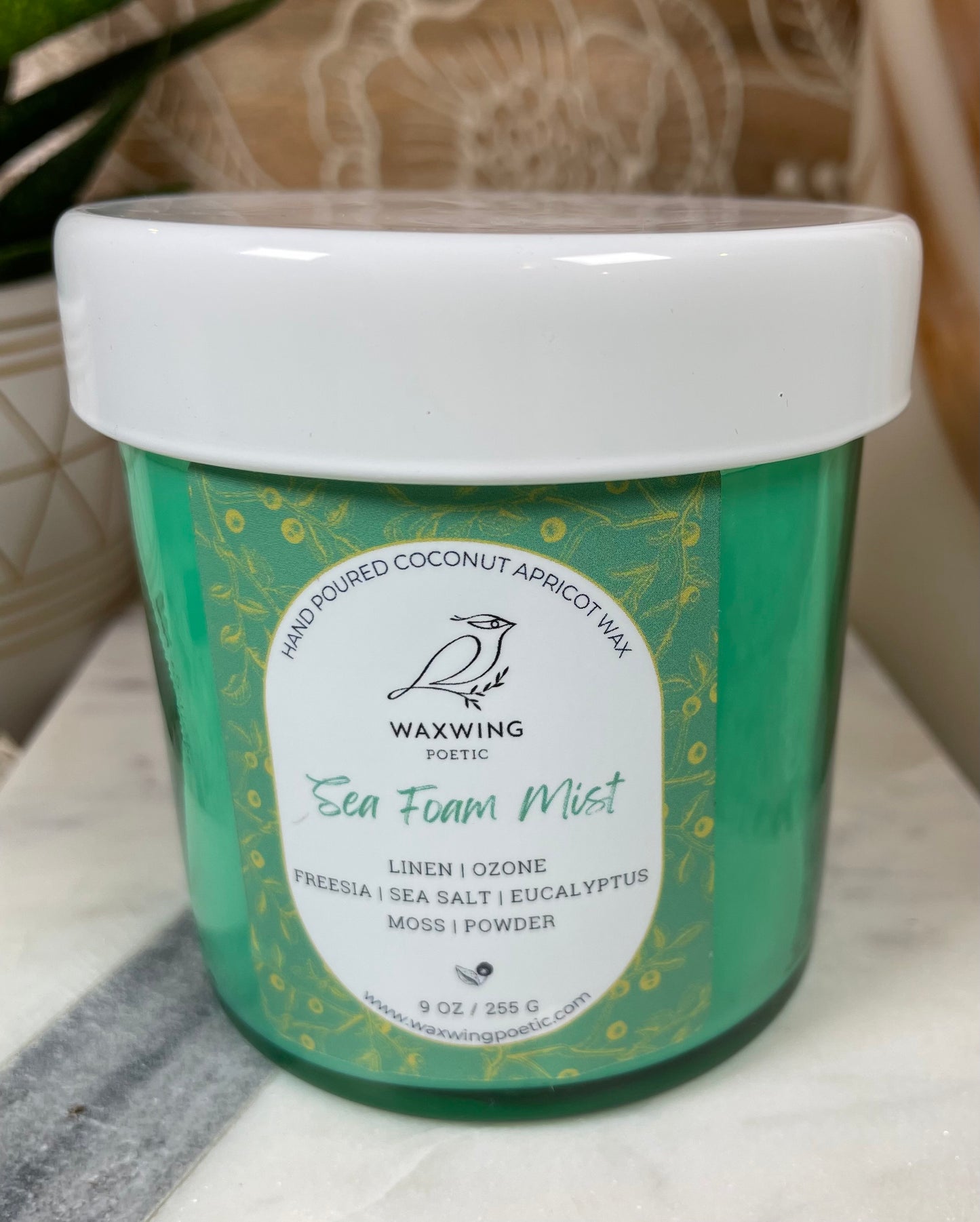 Sea Foam Mist | Coconut Apricot Wax Candle