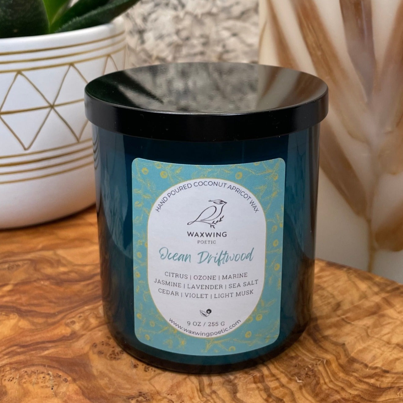 Ocean Driftwood | Coconut Apricot Wax Candle