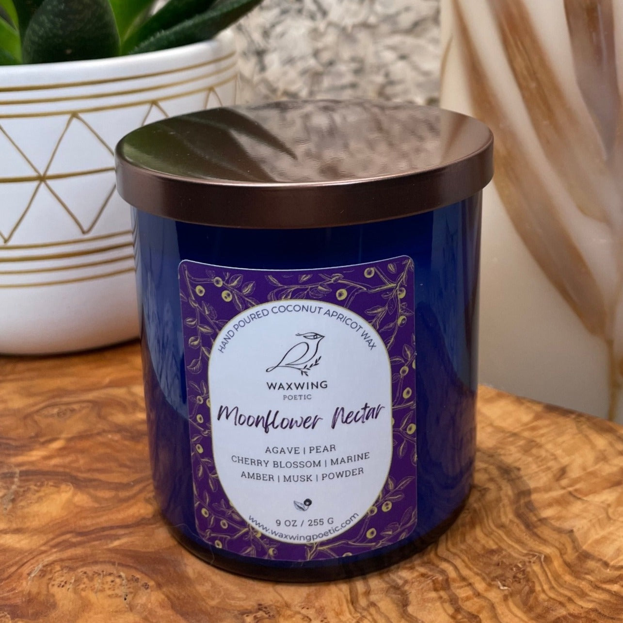 Moonflower Nectar | Coconut Apricot Wax Candle