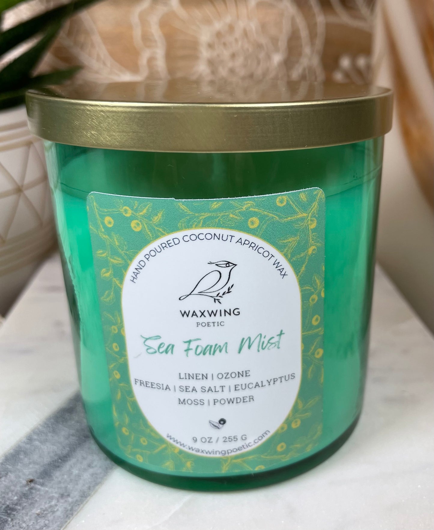 Sea Foam Mist | Coconut Apricot Wax Candle