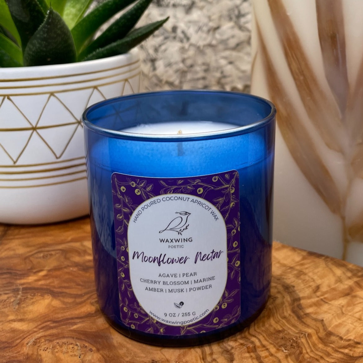 Moonflower Nectar | Coconut Apricot Wax Candle