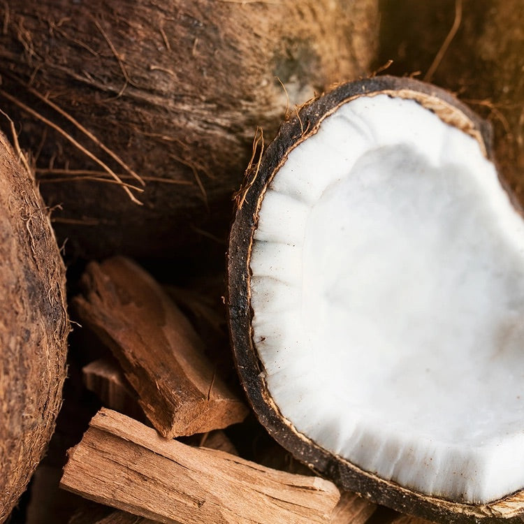 Santal + Coconut | Coconut Apricot Wax Candle