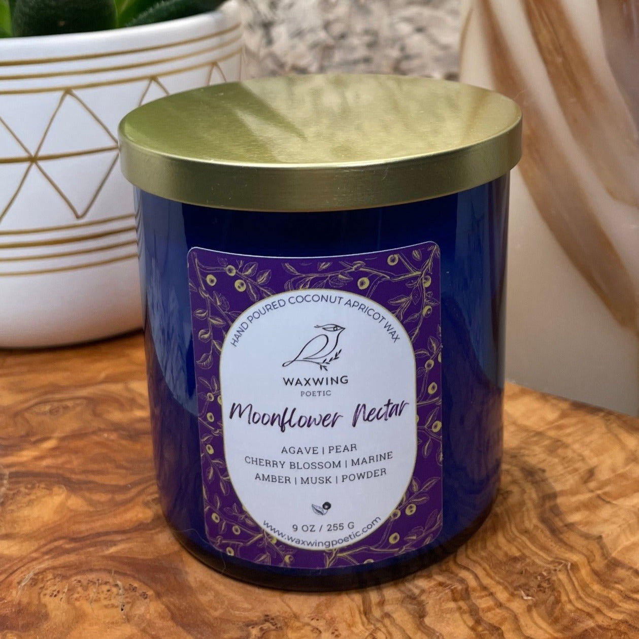 Moonflower Nectar | Coconut Apricot Wax Candle