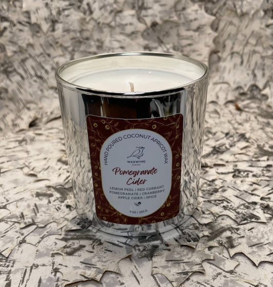 Pomegranate Cider | Coconut Apricot Wax Candle