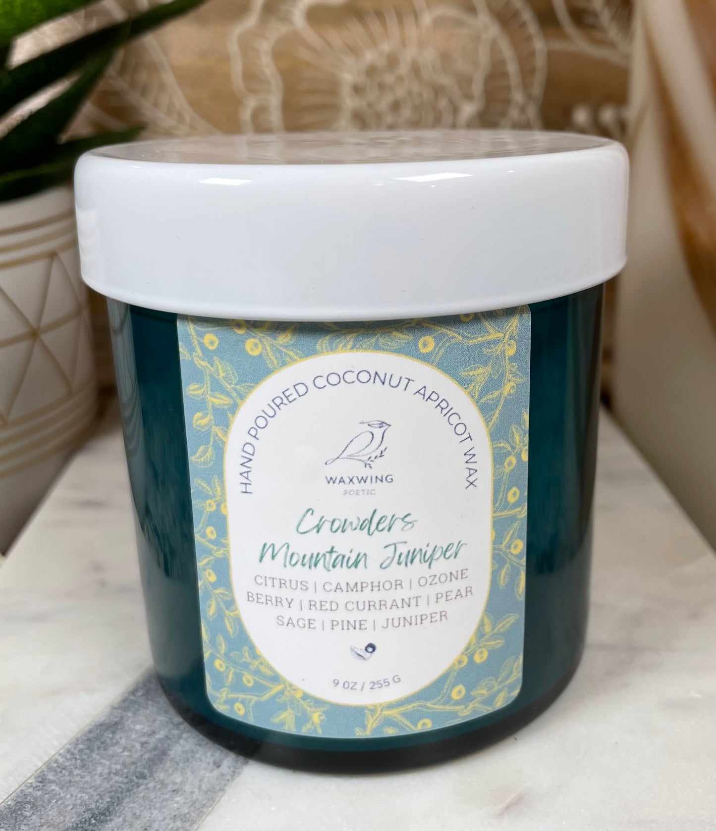 Crowders Mountain Juniper | Coconut Apricot Wax Candle