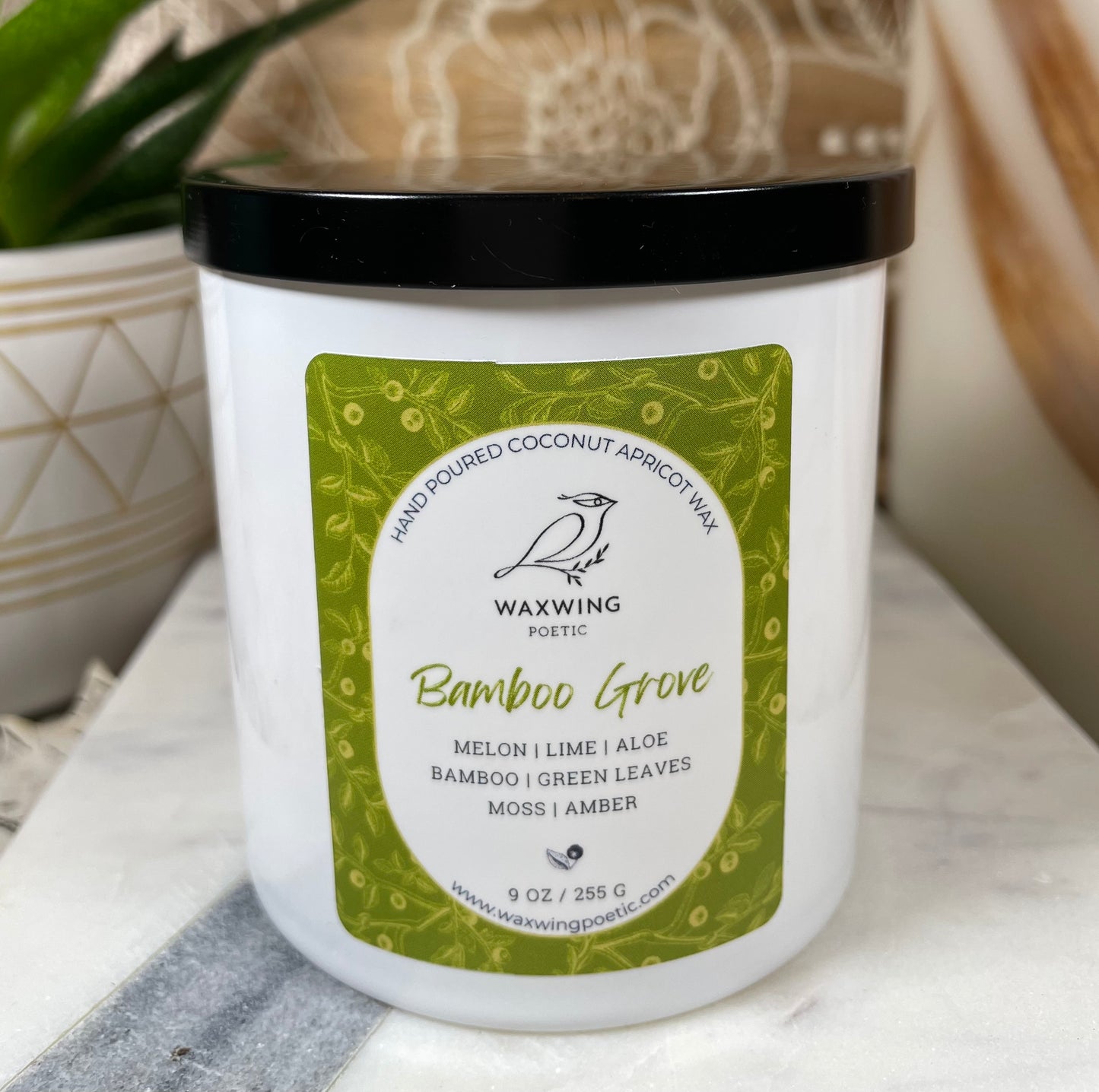 Bamboo Grove | Coconut Apricot Wax Candle