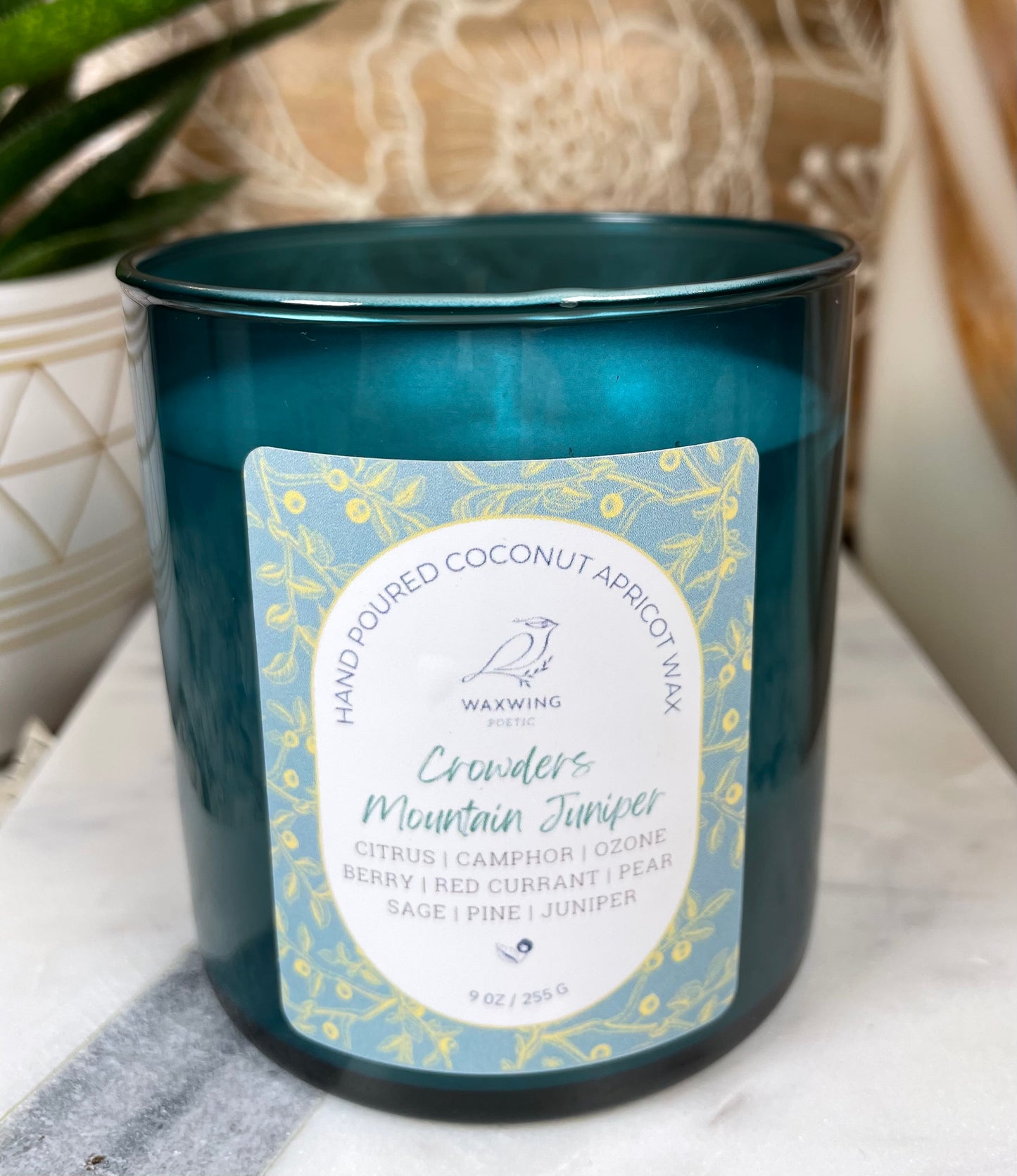Crowders Mountain Juniper | Coconut Apricot Wax Candle
