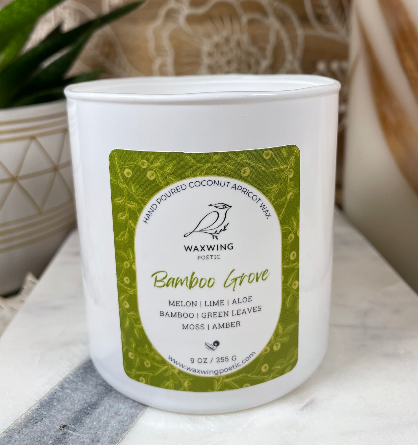 Bamboo Grove | Coconut Apricot Wax Candle